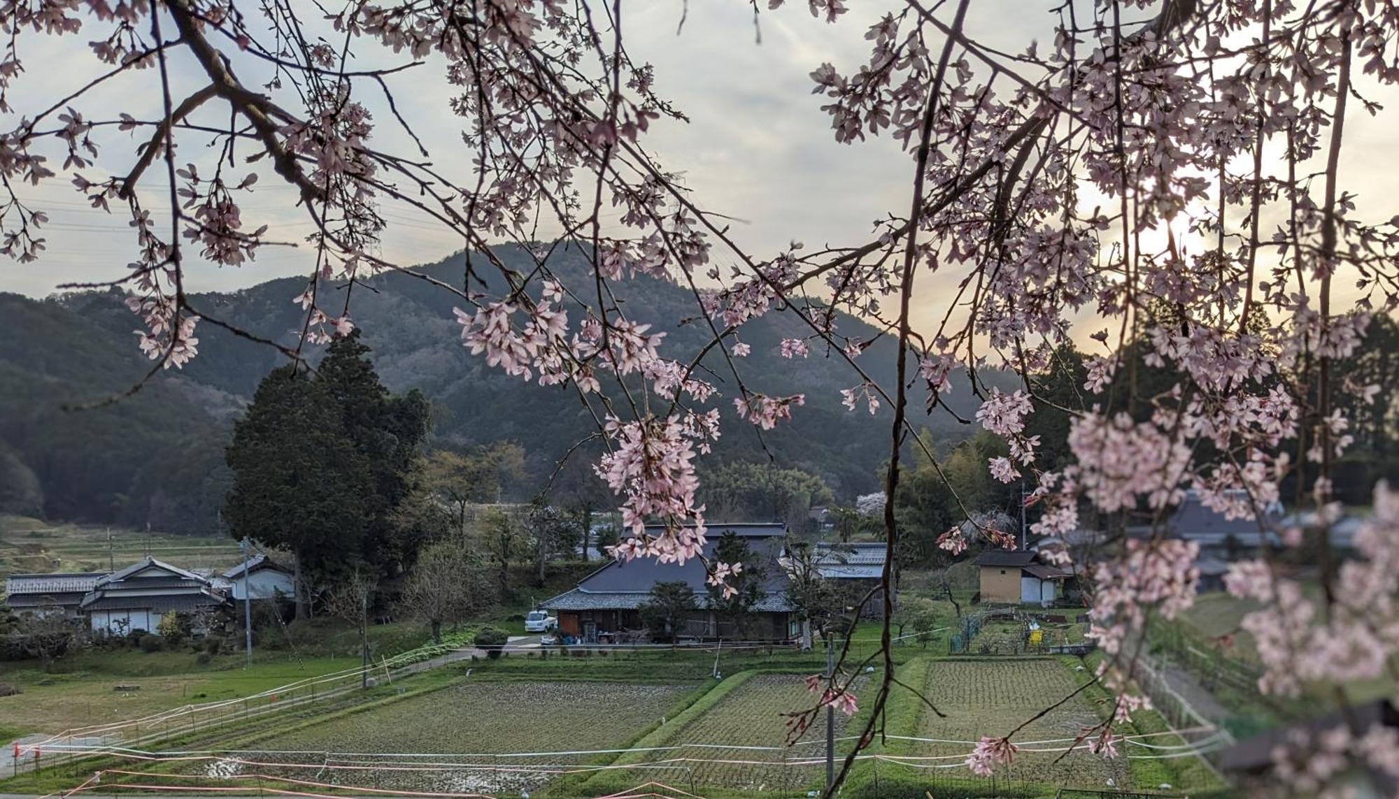 一汁一菜の宿　ちゃぶダイニング Ichiju Issai No Yado Chabu Dining Unforgettable Farmstay Experience In Deep Kyoto Ayabe Εξωτερικό φωτογραφία