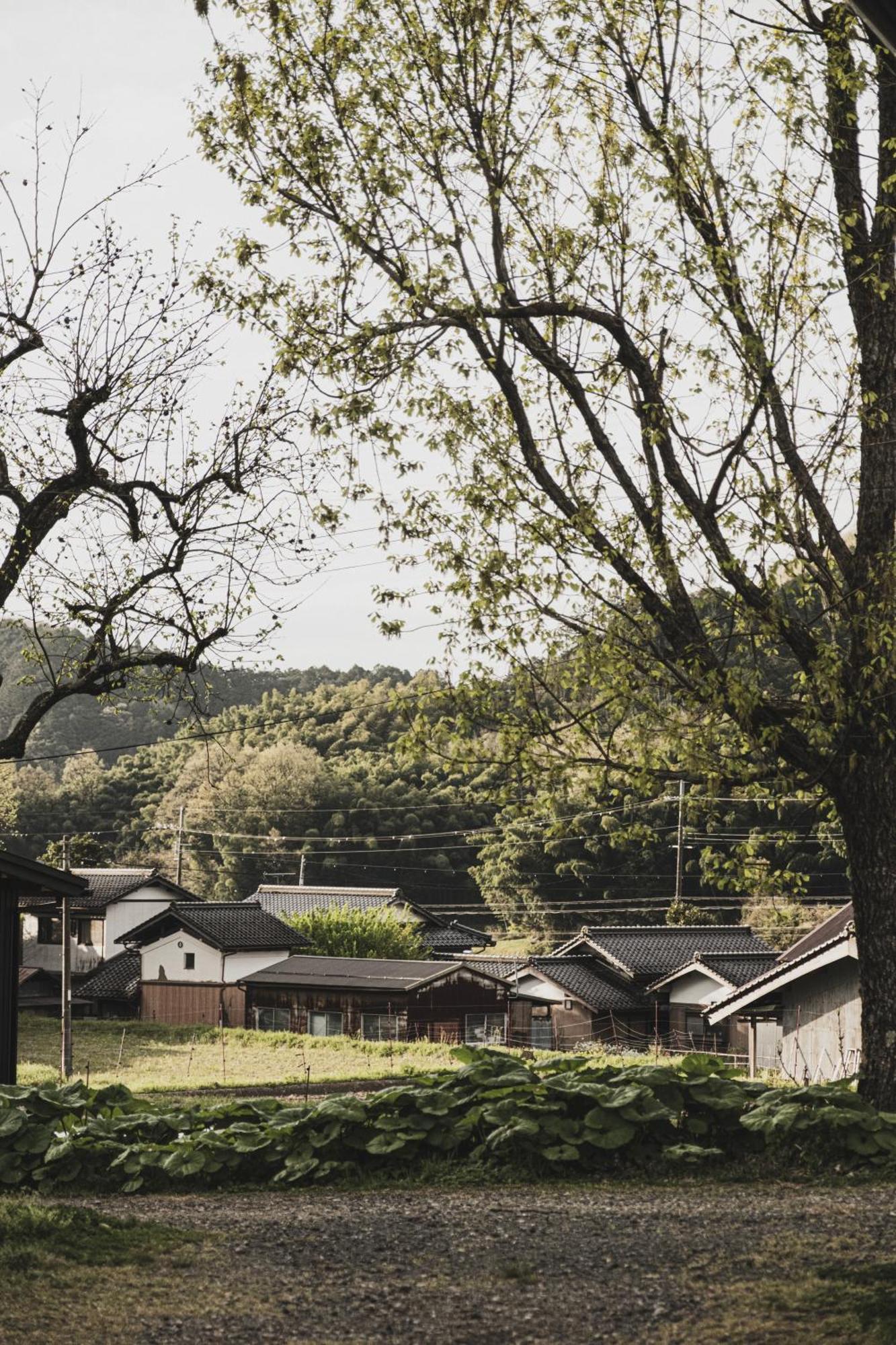 一汁一菜の宿　ちゃぶダイニング Ichiju Issai No Yado Chabu Dining Unforgettable Farmstay Experience In Deep Kyoto Ayabe Εξωτερικό φωτογραφία